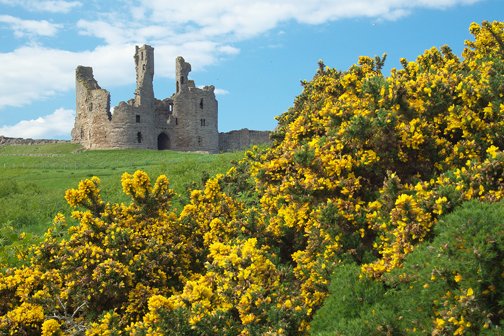 Dunstanburgh Castle