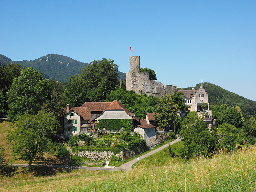 Bipp Castle's Castle Pictures