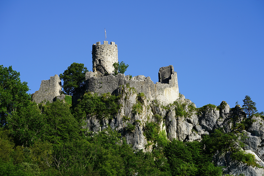 Neu-Falkenstein Castle