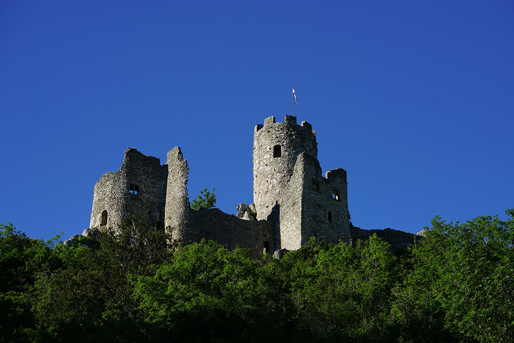 Neu-Falkenstein Castle
