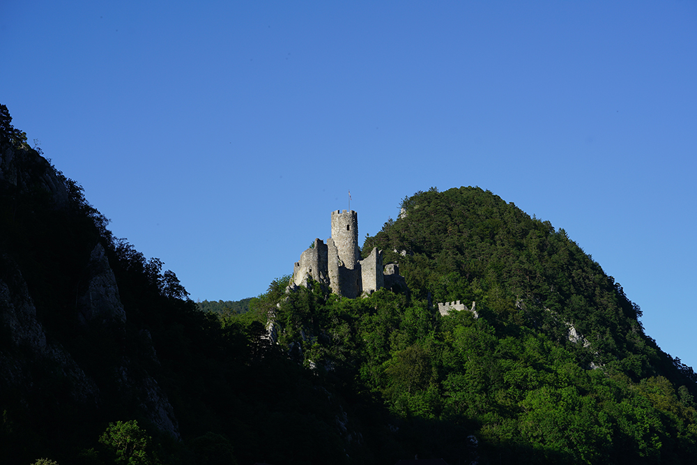 Neu-Falkenstein Castle