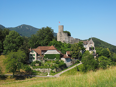 Bipp Castle