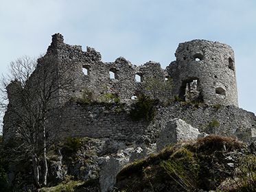 Ehrenberg Castle
