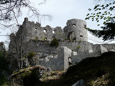 Ehrenberg Castle