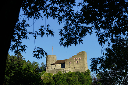 Hohenburg Castle