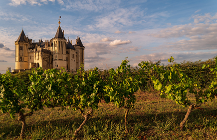 Saumur Castle