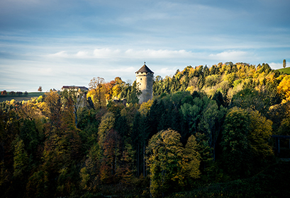 Wildberg Castle