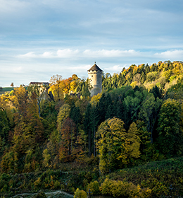 Wildberg Castle