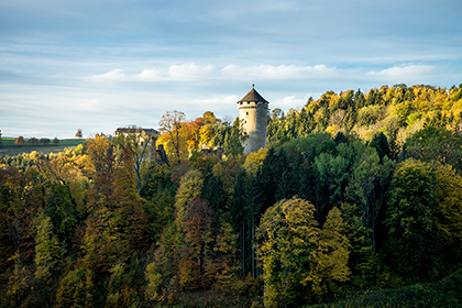 Wildberg Castle