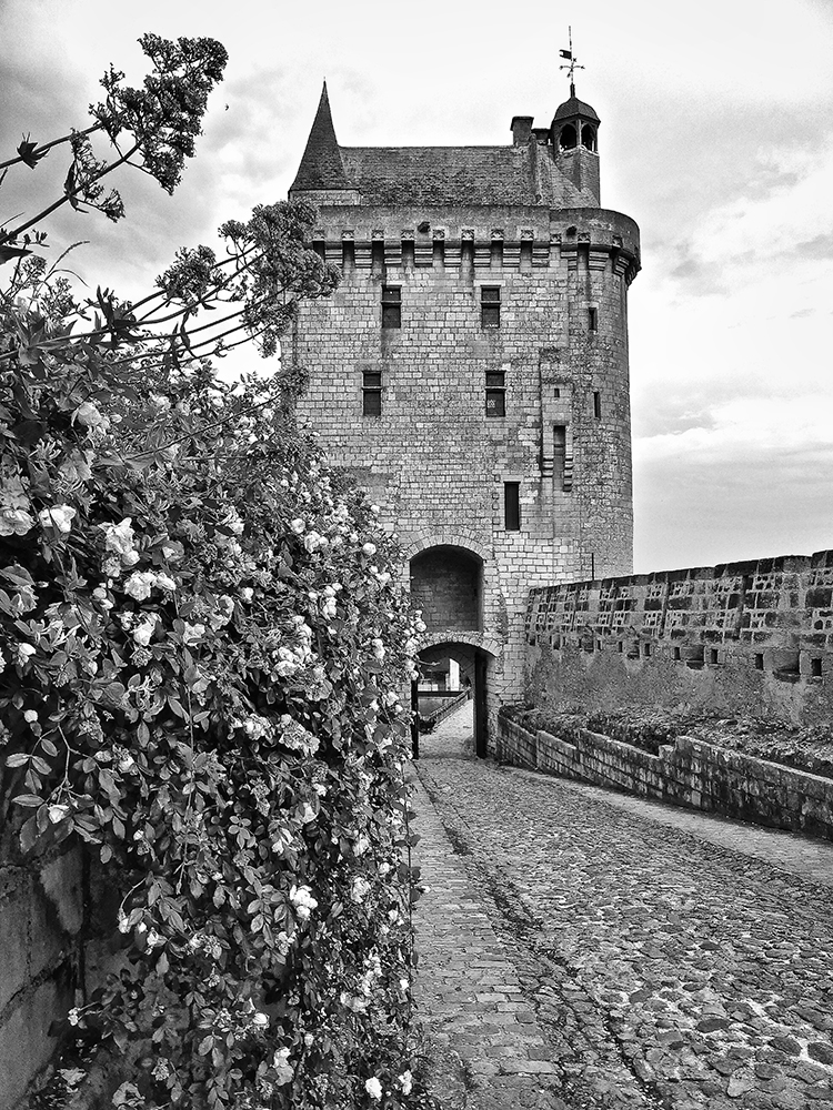 Chinon Castle