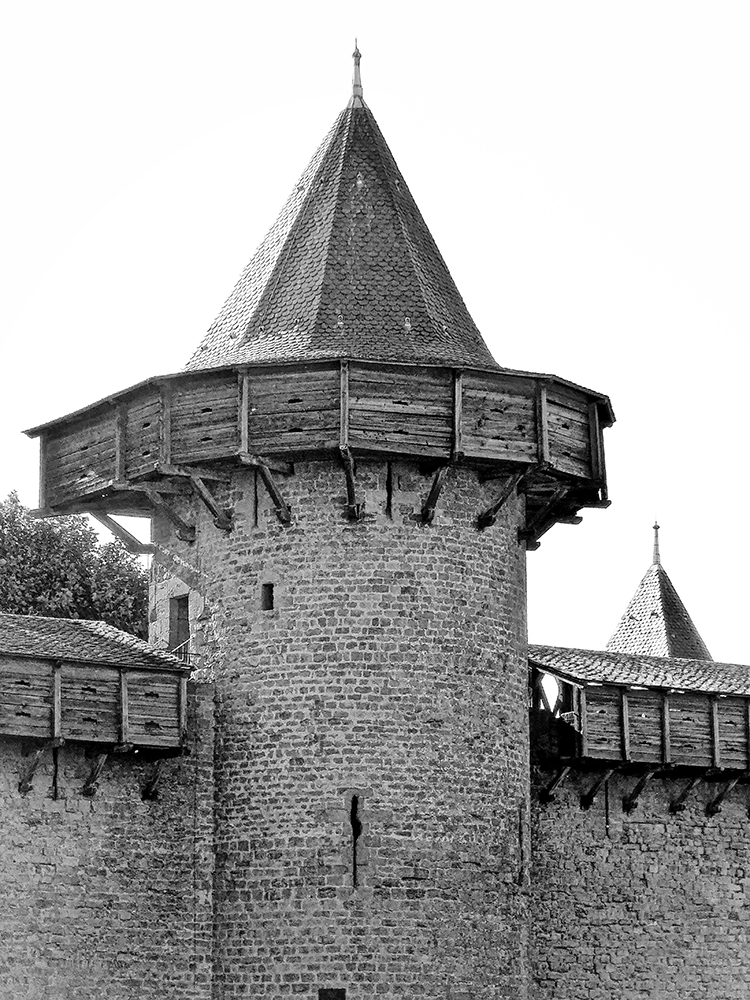 Comtal Castle
