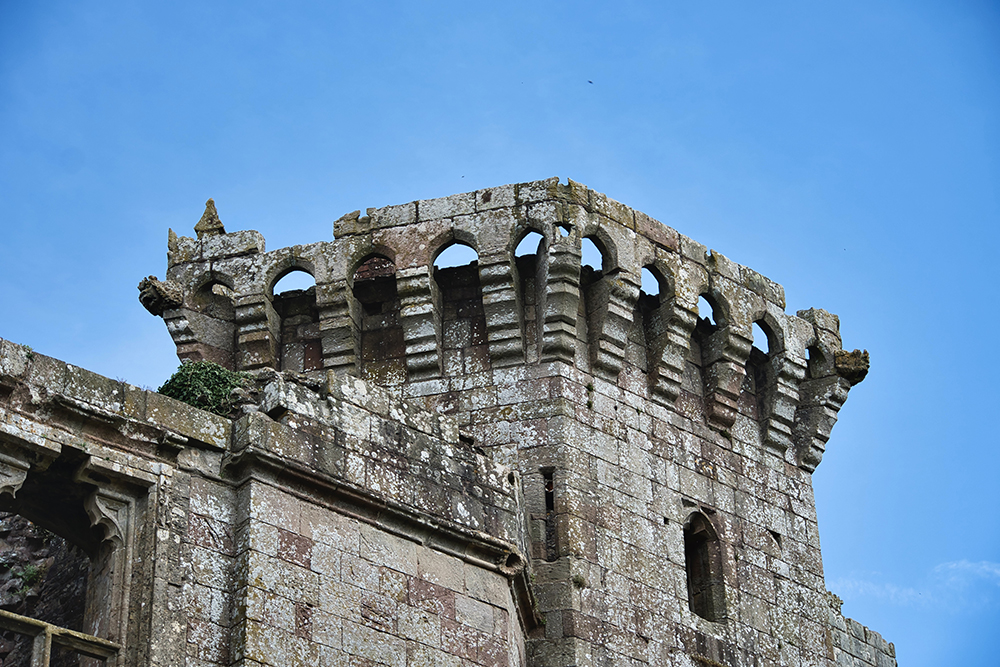 Raglan Castle's Castle Pictures