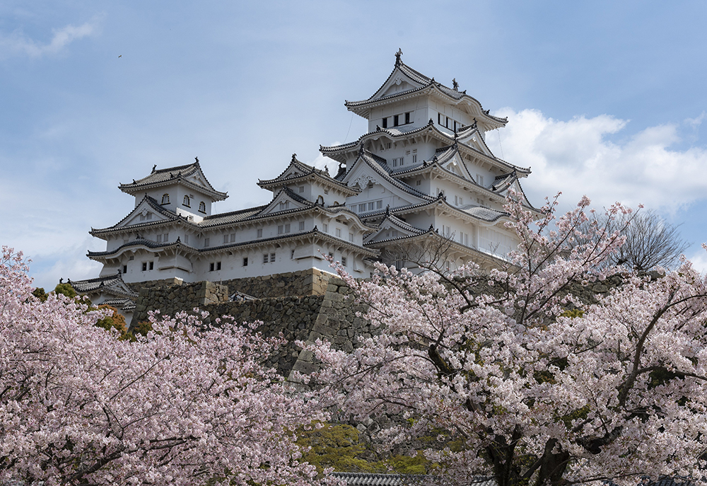 Himeji Castle's Castle Pictures