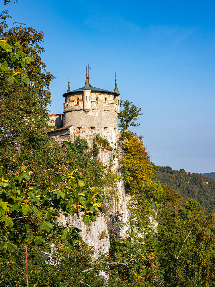 Liechtenstein Castle
