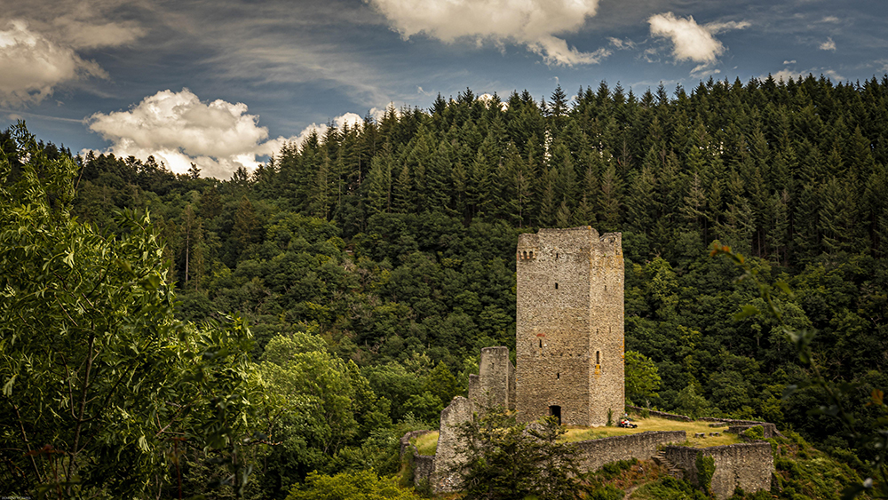 Manderscheid Lower Castle