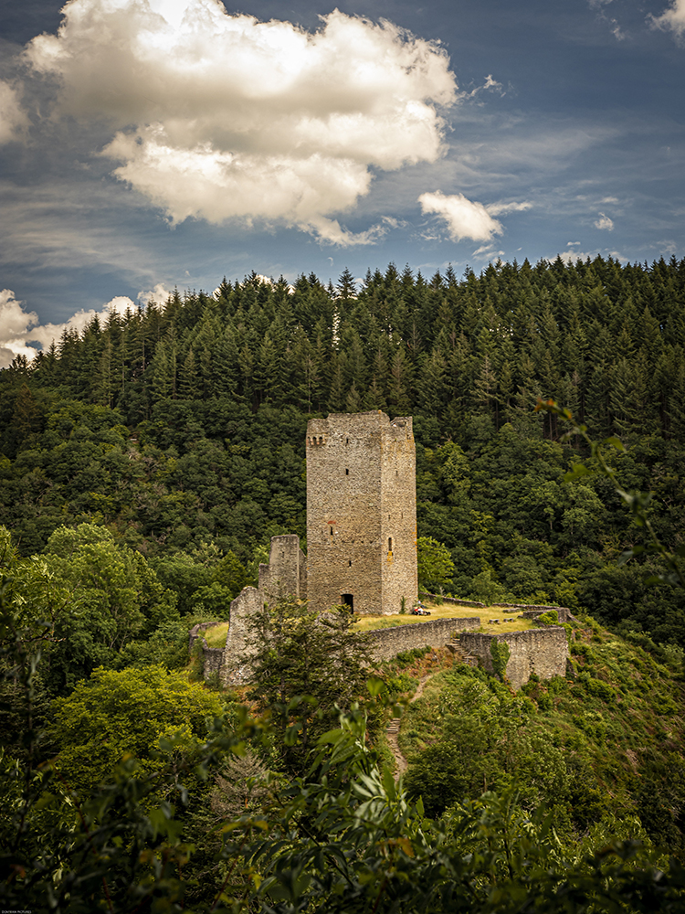 Manderscheid Lower Castle