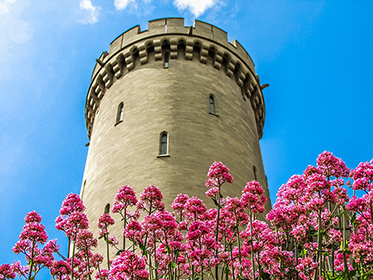 Arundel Castle