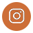 Instagram Icon