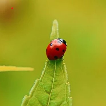 Christina9999's Profile Image