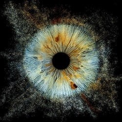 Dimhou's Profile Image