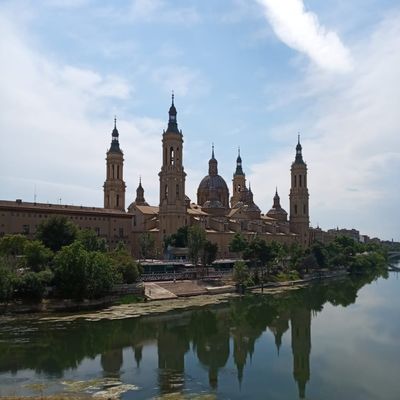 Topillo's Profile Image