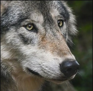 christels's Profile Image