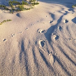 fuBspuren's Profile Image