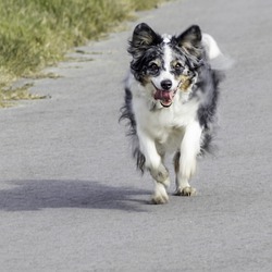 hs-photografie's Profile Image