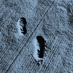 tuptus1703's Profile Image